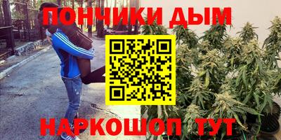 mdma Заводоуковск